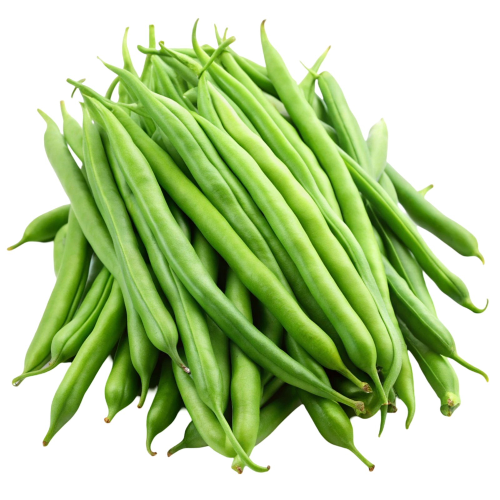 IQF Green Beans